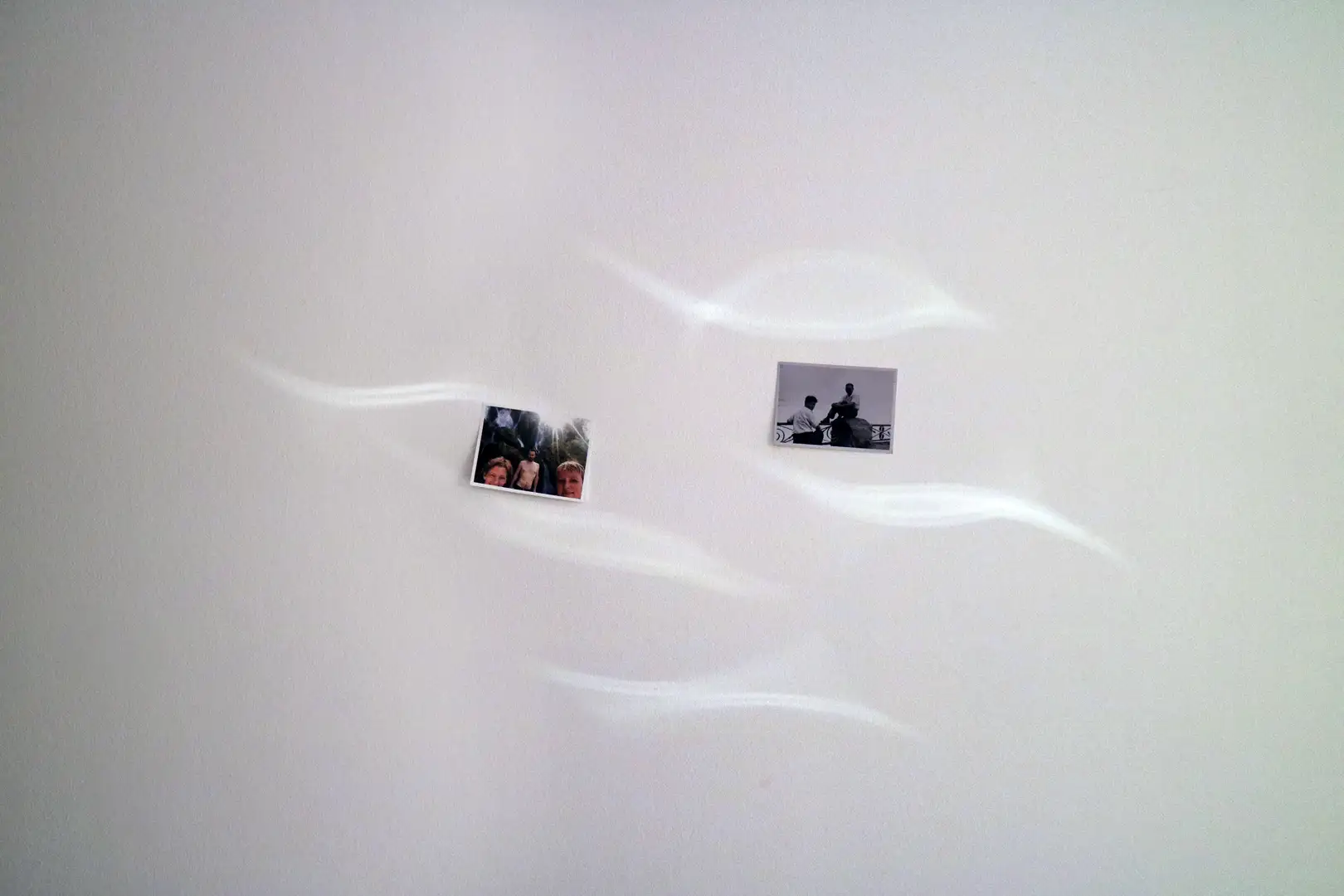 Niagara Worms, for a Better Life photograph